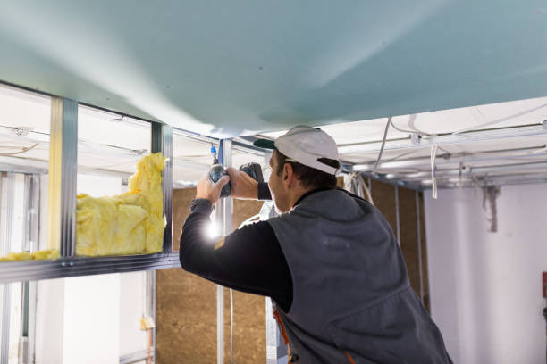 Best Commercial Insulation in Perryville, AR