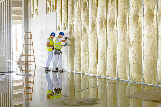 Best Fiberglass Insulation in Perryville, AR